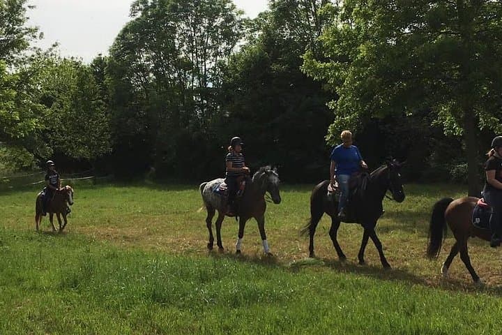 Turin : Horseback riding on the hills of Albiano d’Ivrea