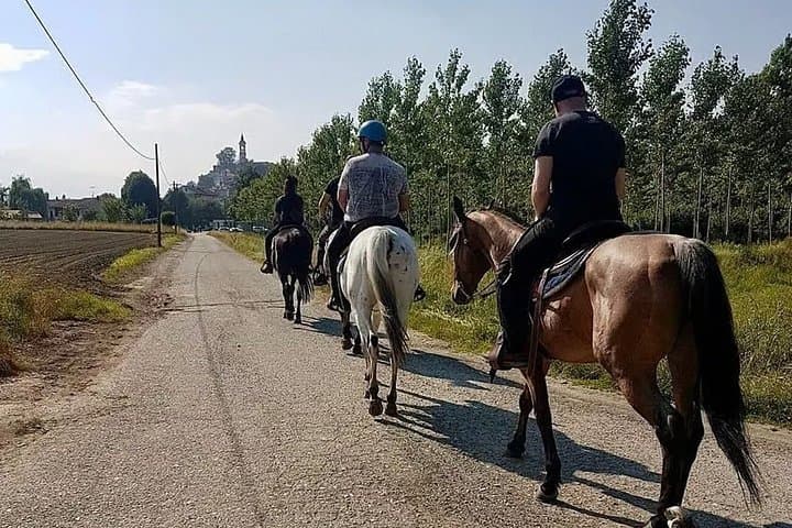 Turin : Horseback riding on the hills of Albiano d’Ivrea