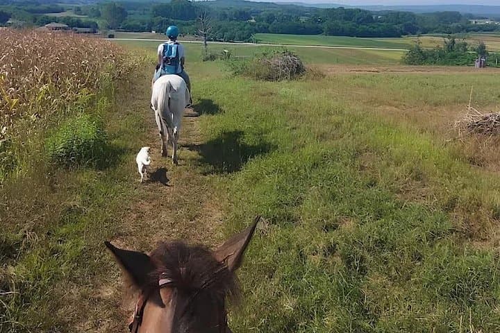 Turin : Horseback riding on the hills of Albiano d’Ivrea