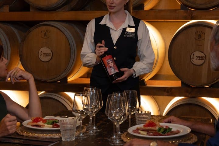 Dinner with wine tasting at Poggio ai Laghi winery