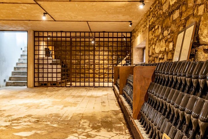 Brescia: Franciacorta Wine Tasting in a Historical Winery