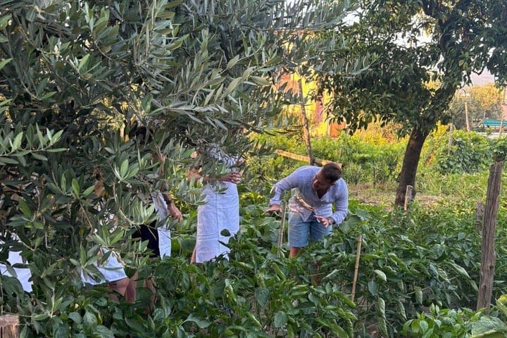 Pizza Workshop in a Sorrento Garden Hands on Experience