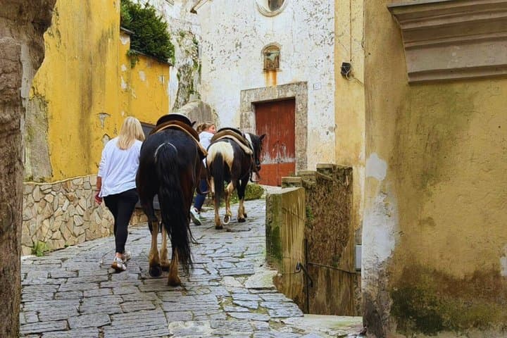 Salerno: Horseback Riding Excursion in Cava de’ Tirreni
