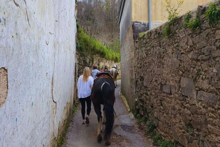 Salerno: Horseback Riding Excursion in Cava de’ Tirreni