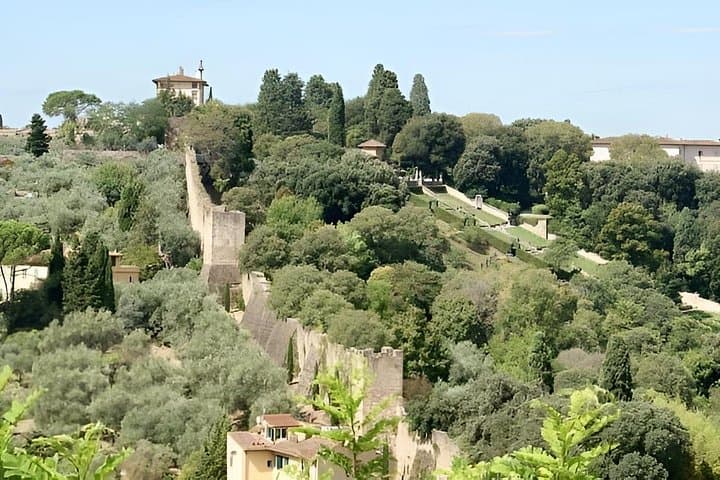 Tour in golf cart Piazzale Michelangelo and hills of florence