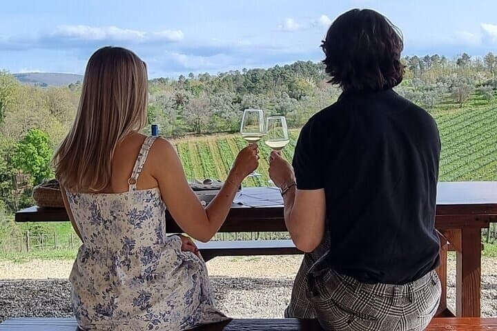Private Chianti Classico Wine Tasting Tour in Two Family Wineries