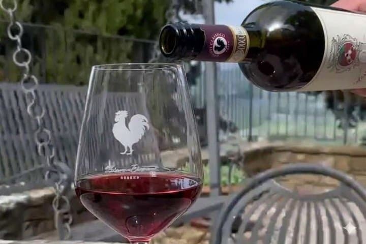 Private Chianti Classico Wine Tasting Tour in Two Family Wineries