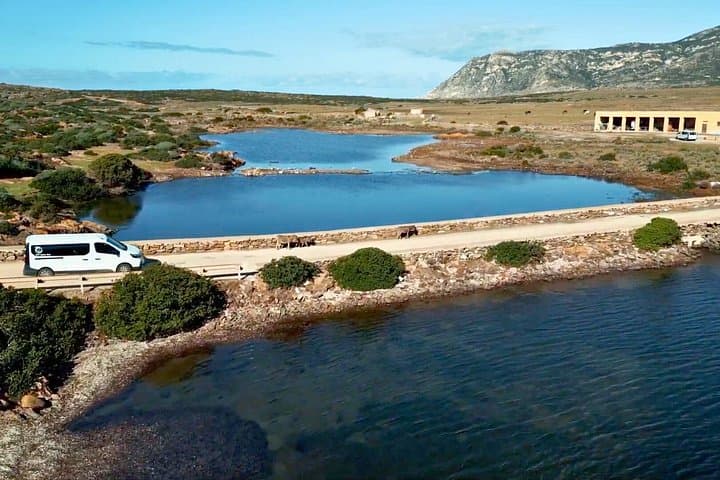 From Stintino: minivan tour of Asinara