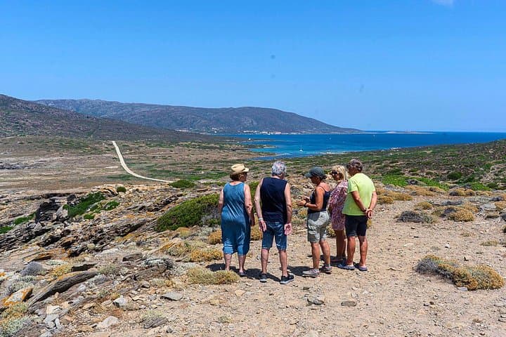 From Stintino: minivan tour of Asinara