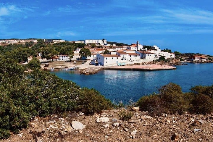 From Stintino: minivan tour of Asinara