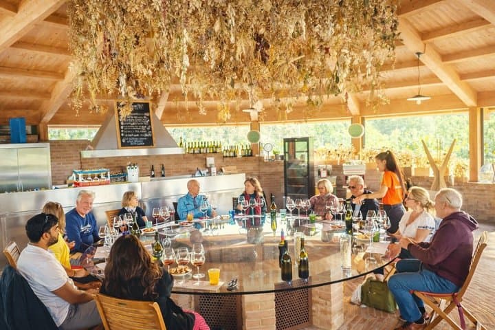 Val d’Orcia Wine Tour with Lunch & Brunello from Florence