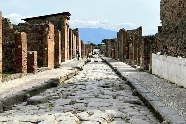 private and Guided Tour to Pompeii from Positano