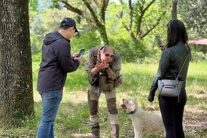 Semi-Private Truffle Hunting & lunch @ Winery, San Gimignano
