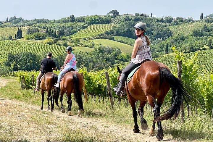 Small Group Horseback Riding Wine Tour, San Gimignano, Lunch