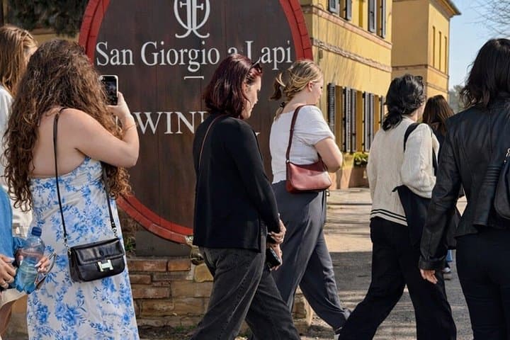 Siena: Chianti Wine Tour with Wine Tasting and Lunch