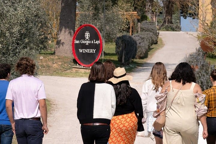 Siena: Chianti Wine Tour with Wine Tasting and Lunch