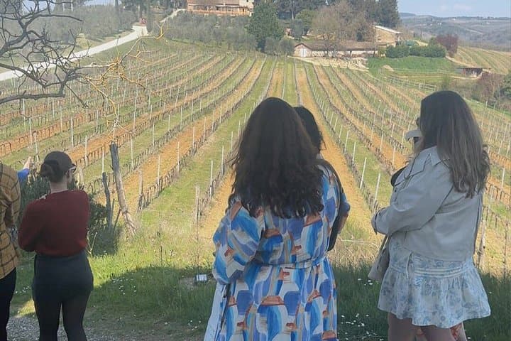 Siena: Chianti Wine Tour with Wine Tasting and Lunch