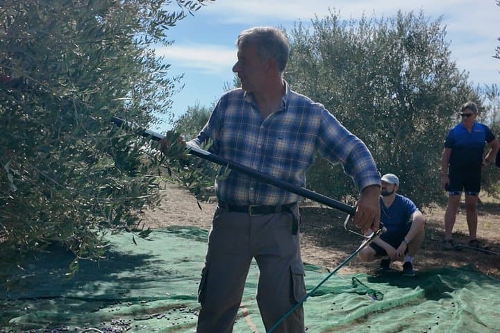 Lecce : Half day E-Bike tour, Artisan workshop & Olive Oil Taste