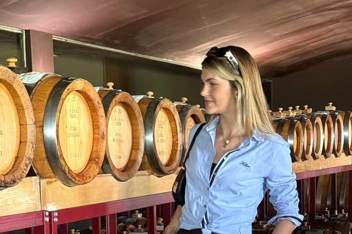 Private Tour in Historical Vinegar and Ferrari Museum