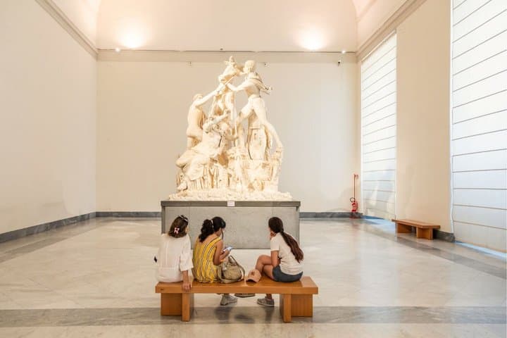 Naples National Archaeological Museum Priority Entry Ticket