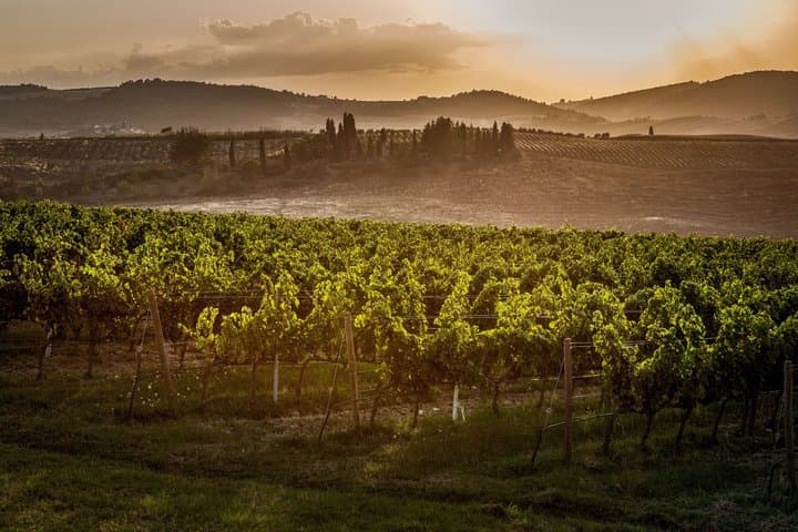 Vino Nobile di Montepulciano winery tour and tasting