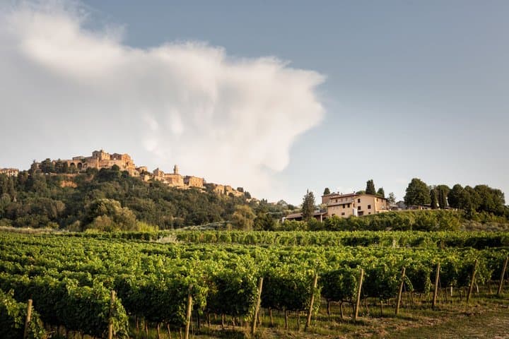 Vino Nobile di Montepulciano winery tour and tasting