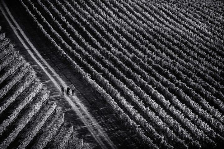 Vino Nobile di Montepulciano winery tour and tasting