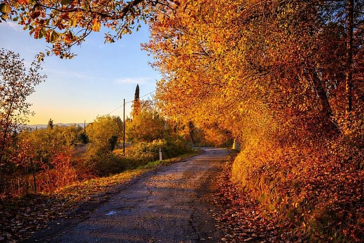500 Vintage Tour - Chianti wine tour - Small group