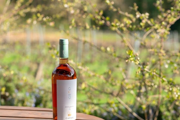 Classic Wine Tasting by Carus Wines