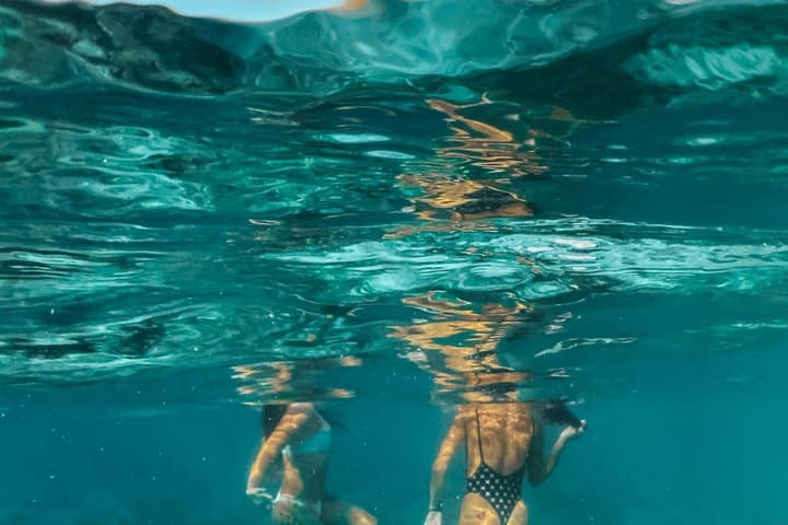 Golfo aranci : Dolphin spotting and snorkling in a dinghy