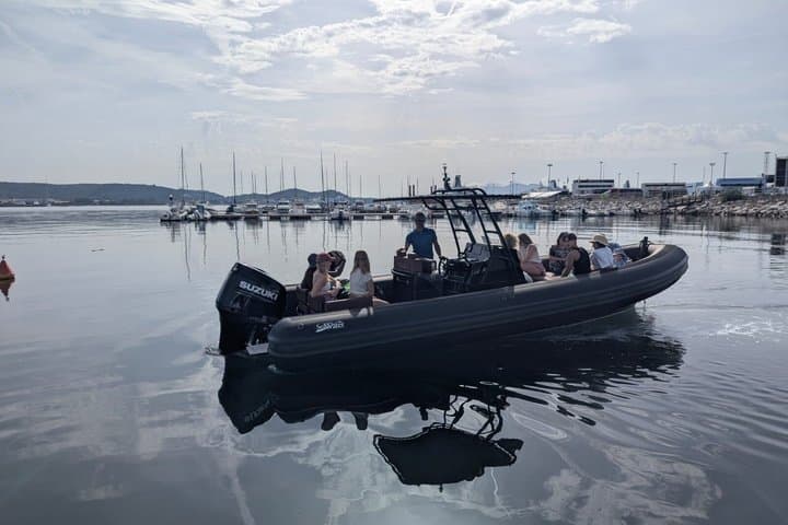 Golfo aranci : Dolphin spotting and snorkling in a dinghy