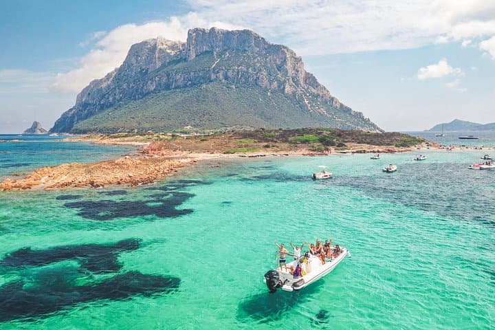 Dolphin Watching Tour with Snorkeling from Olbia