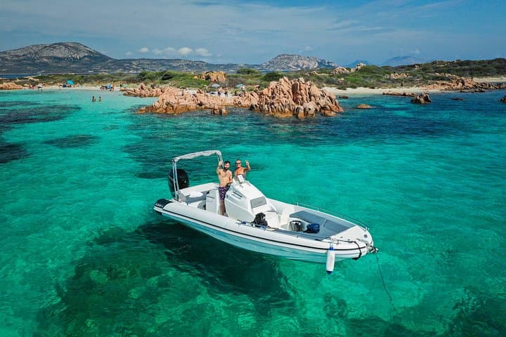 Dolphin Watching Tour with Snorkeling from Olbia