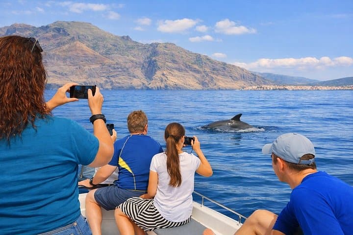 Dolphin Watching Tour with Snorkeling from Olbia