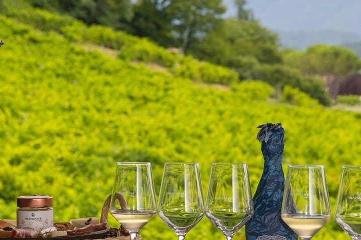 Prosecco Hills Vespa & Picnic Experience in Veneto