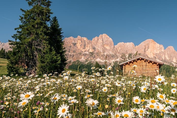 From Bolzano Day Tour Highlights of the Dolomites