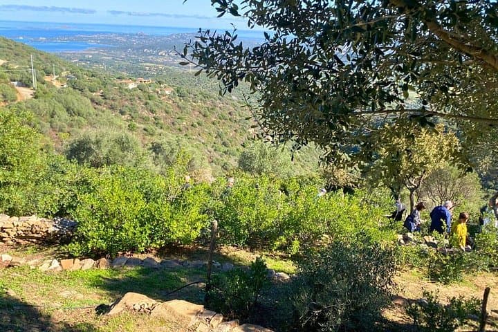 Olbia: visit a gin-making factory with tasting