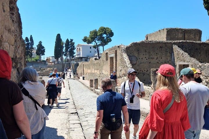 2-Hours Skip-the-Line Tour in Herculaneum