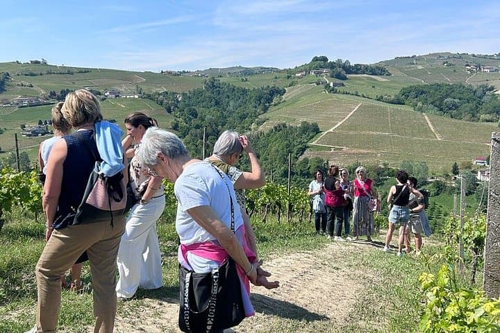 Private Winery and Vineyard Tour with Wine Tasting