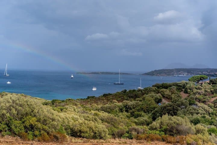 Costa Smeralda Private Tour with Porto Cervo and Scenic Beaches