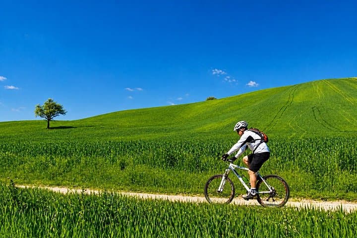 Siena: Chianti Guided E-Bike Tour with Lunch & 2 wine tastings