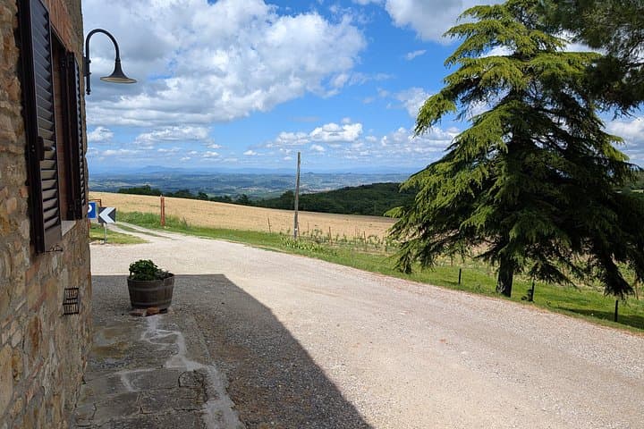 San Gimignano : Pasta Cooking Class with Wine & Panoramic Lunch