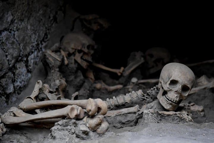 From Naples Herculaneum Skip the Line Guided Tour and Transfer