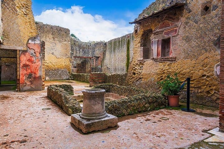 From Naples Herculaneum Skip the Line Guided Tour and Transfer