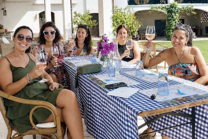 Wine tour and tasting with Lake view In Moniga del Garda