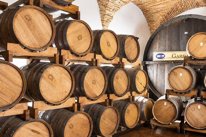 Wine tour and tasting with Lake view In Moniga del Garda