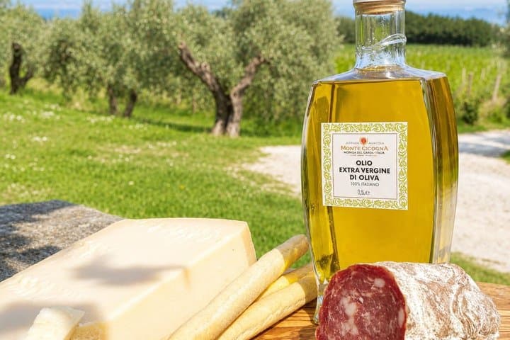Wine tour and tasting with Lake view In Moniga del Garda