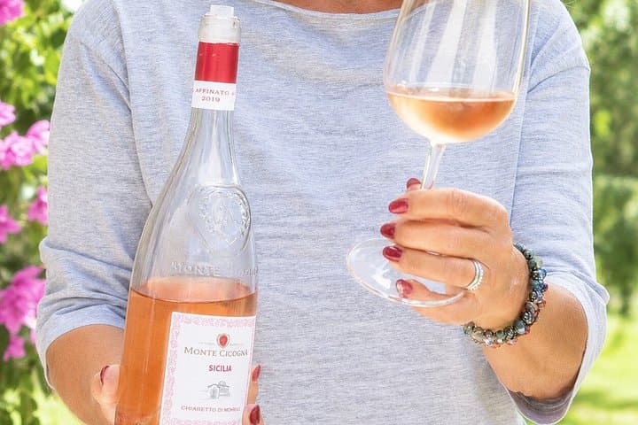 Wine tour and tasting with Lake view In Moniga del Garda
