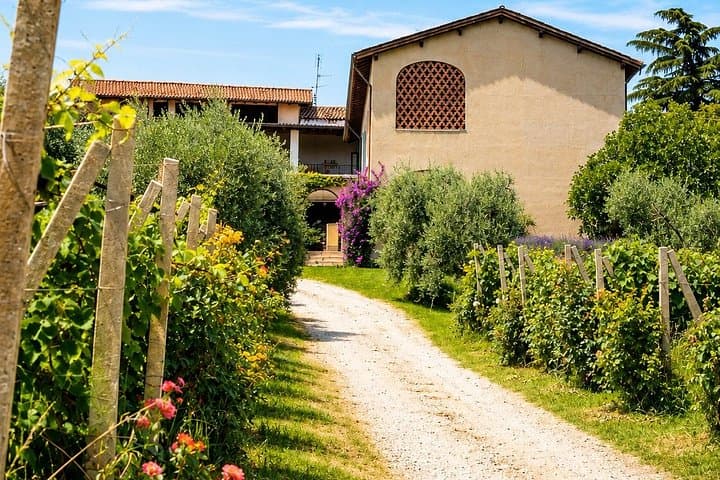 Wine tour and tasting with Lake view In Moniga del Garda