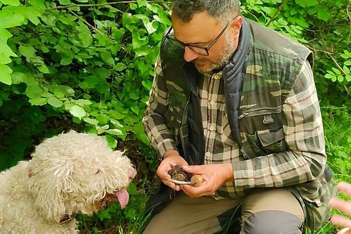 Truffle Hunting and Lunch Experience in a Restaurant